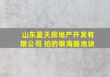 山东蓝天房地产开发有限公司 拍的银海路地块